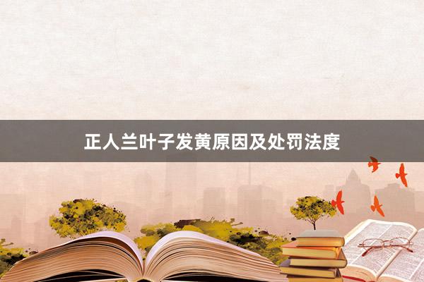 正人兰叶子发黄原因及处罚法度