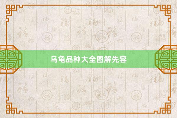 乌龟品种大全图解先容