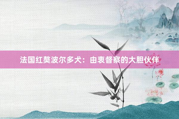 法国红獒波尔多犬：由衷督察的大胆伙伴